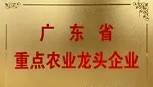 乡村振兴再添力量！66家佛山企业获评省重点农业龙头企业